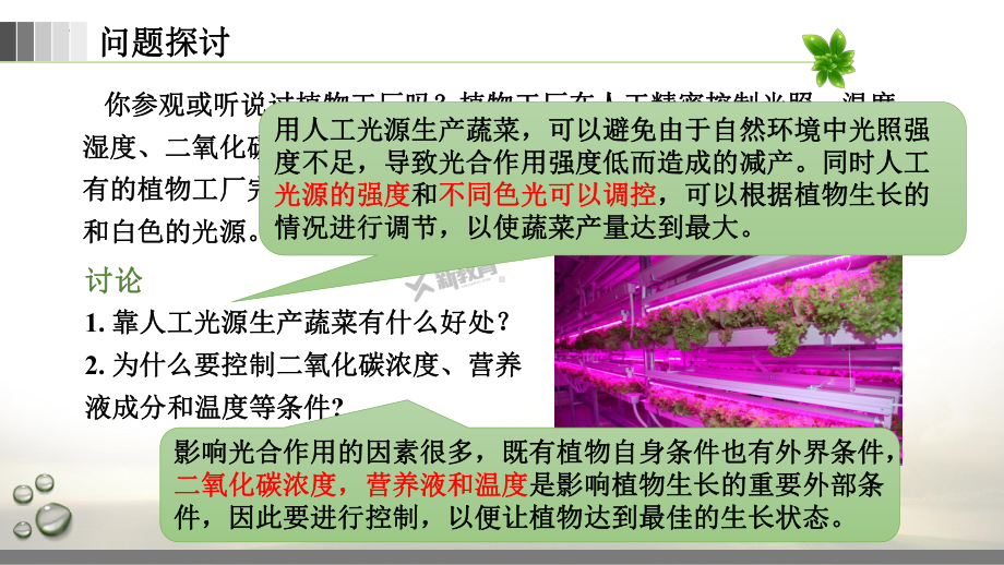 5.4 光合作用与能量转化ppt课件-2023新人教版（2019）《高中生物》必修第一册.pptx_第1页