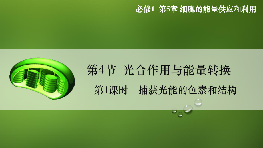 5.4 光合作用与能量转化ppt课件-2023新人教版（2019）《高中生物》必修第一册.pptx_第3页