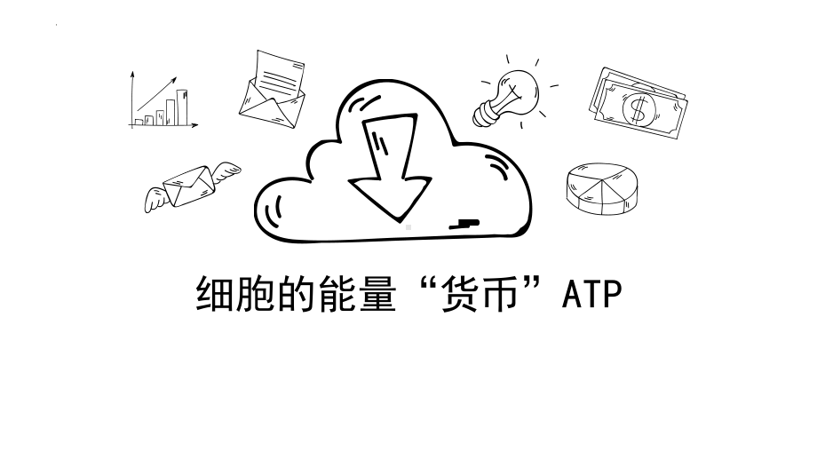 5.2 细胞的能量“货币”ATP ppt课件 -2023新人教版（2019）《高中生物》必修第一册.pptx_第1页