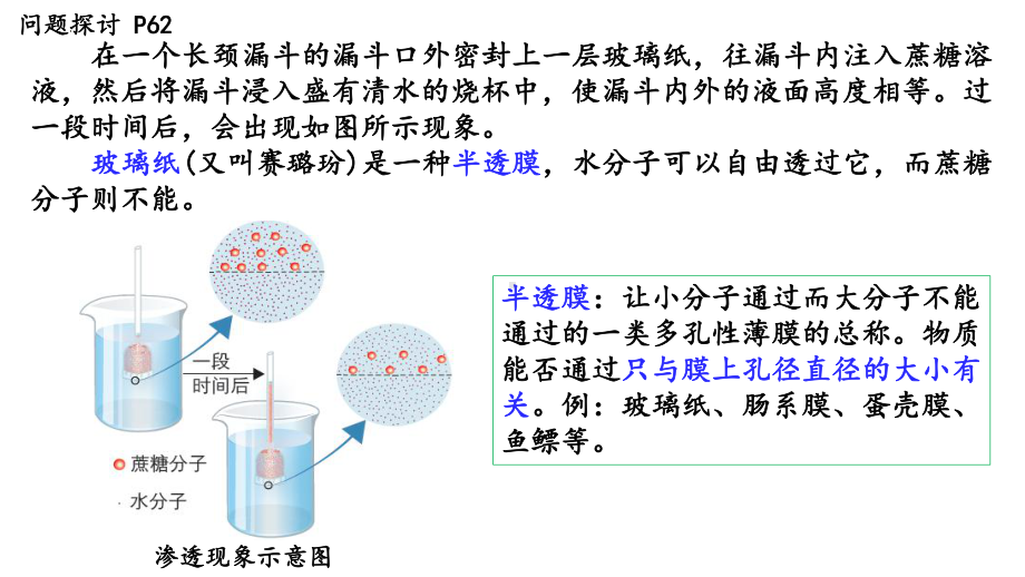 4.1被动运输 ppt课件-2023新人教版（2019）《高中生物》必修第一册.pptx_第2页