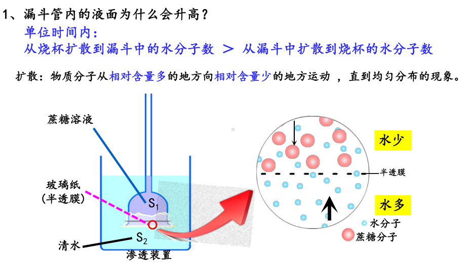 4.1被动运输 ppt课件-2023新人教版（2019）《高中生物》必修第一册.pptx_第3页