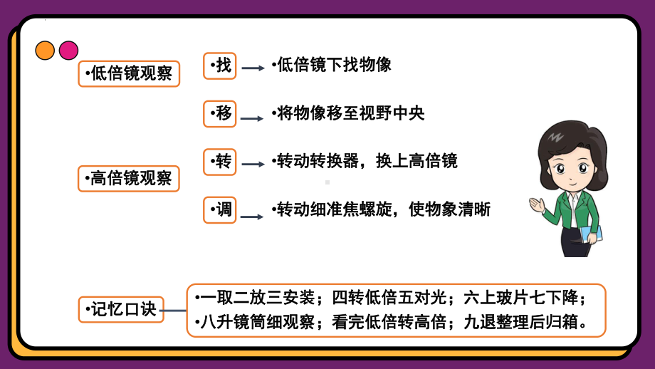 1.2 细胞的多样性和统一性ppt课件 -2023新人教版（2019）《高中生物》必修第一册.pptx_第3页