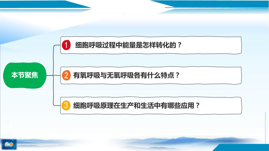 5.3细胞呼吸的原理和应用ppt课件-2023新人教版（2019）《高中生物》必修第一册.pptx_第2页