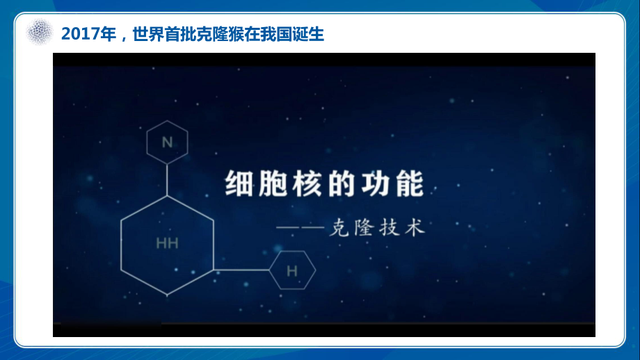 3.3细胞核的结构和功能ppt课件-2023新人教版（2019）《高中生物》必修第一册.pptx_第2页