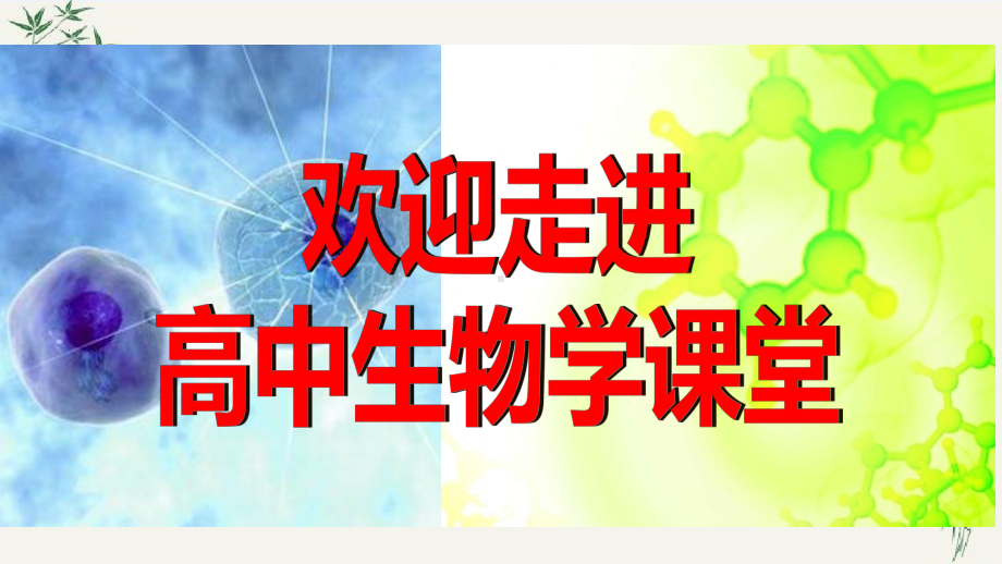 1.1 细胞是生命活动的基本单位 ppt课件-2023新人教版（2019）《高中生物》必修第一册.pptx_第1页