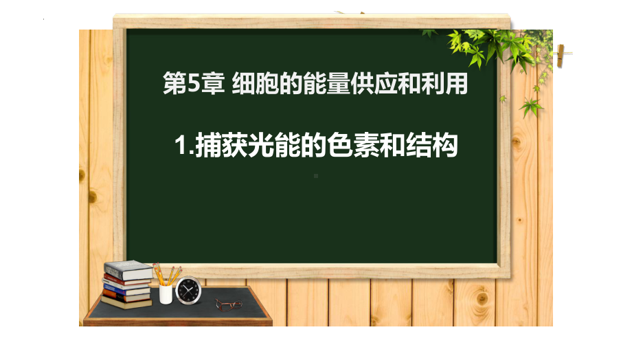 5.4.1捕获光能的色素和结构ppt课件-2023新人教版（2019）《高中生物》必修第一册.pptx_第1页