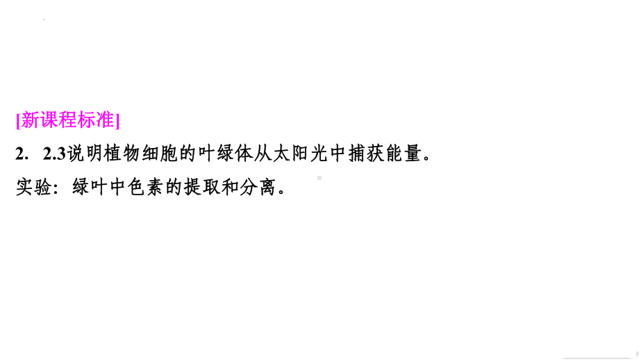 5.4.1捕获光能的色素和结构ppt课件 -2023新人教版（2019）《高中生物》必修第一册.pptx_第2页