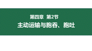 4.2主动运输与胞吞、胞吐ppt课件 -2023新人教版（2019）《高中生物》必修第一册.pptx