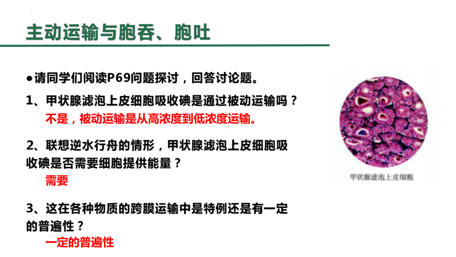 4.2主动运输与胞吞、胞吐ppt课件 -2023新人教版（2019）《高中生物》必修第一册.pptx_第3页