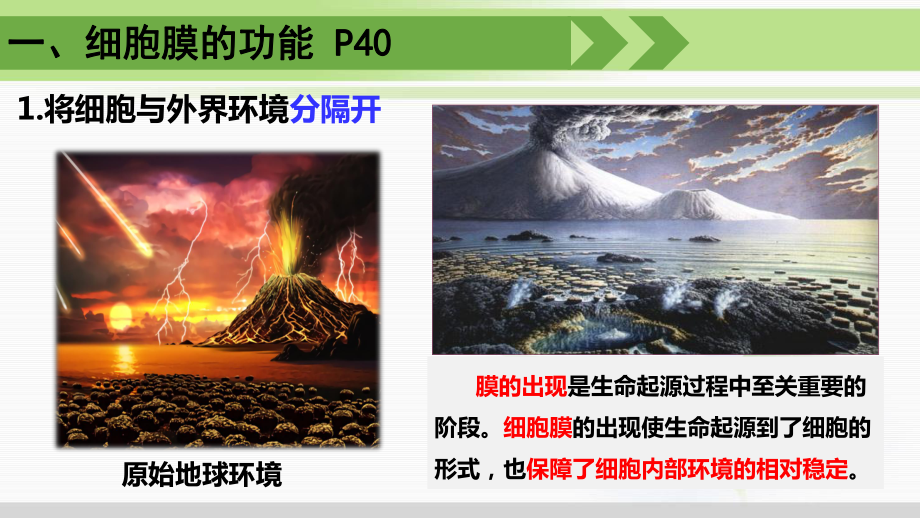 3.1细胞膜的结构和功能ppt课件 (2)-2023新人教版（2019）《高中生物》必修第一册.pptx_第2页