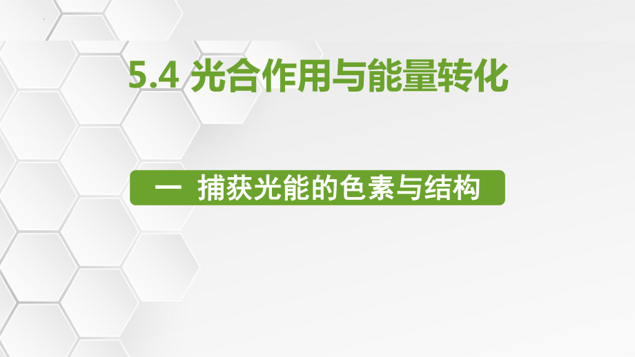 5.4.1光合作用与能量转化ppt课件 -2023新人教版（2019）《高中生物》必修第一册.pptx_第1页