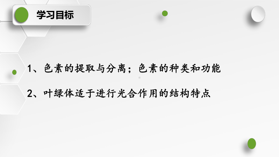 5.4.1光合作用与能量转化ppt课件 -2023新人教版（2019）《高中生物》必修第一册.pptx_第2页