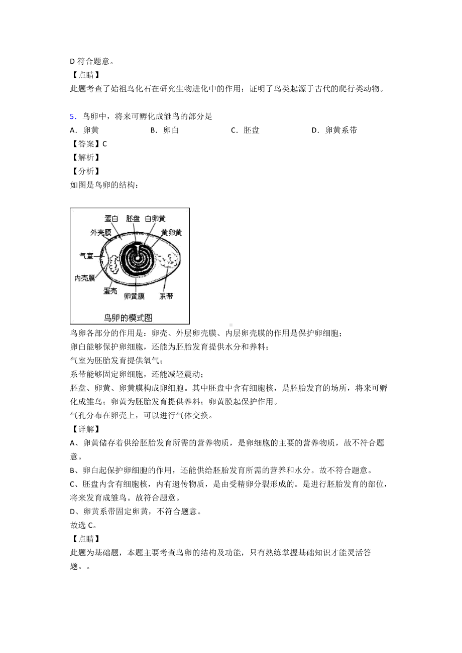 第七单元《生物圈中生命的延续和发展》考试知识点.doc_第3页