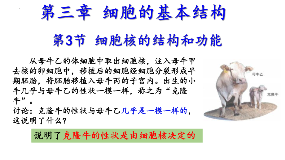 3.3 细胞核的结构和功能ppt课件-2023新人教版（2019）《高中生物》必修第一册.pptx_第1页