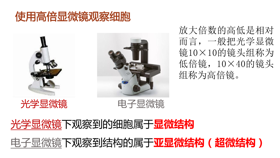 1.2 细胞的多样性和统一性ppt课件-2023新人教版（2019）《高中生物》必修第一册.pptx_第3页