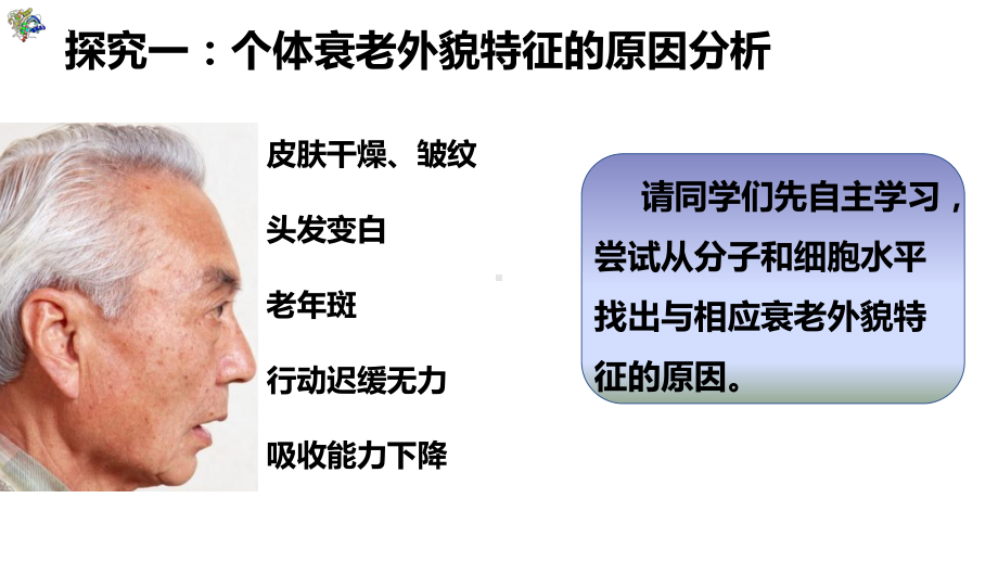 6.3细胞的衰老和死亡 ppt课件 -2023新人教版（2019）《高中生物》必修第一册.pptx_第3页