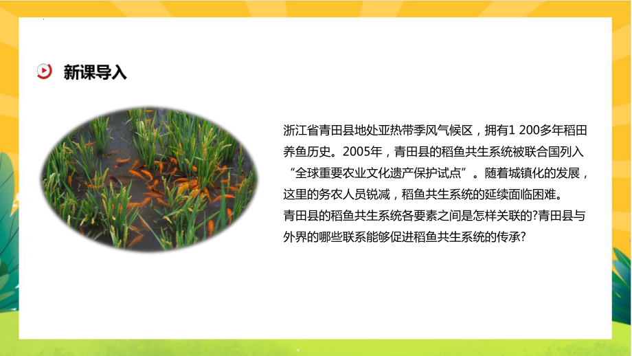 1.2 区域整体性和关联性 ppt课件-2023新人教版（2019）《高中地理》选择性必修第二册.pptx_第3页