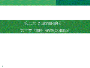 2.3 细胞中的糖和脂ppt课件-2023新人教版（2019）《高中生物》必修第一册.pptx