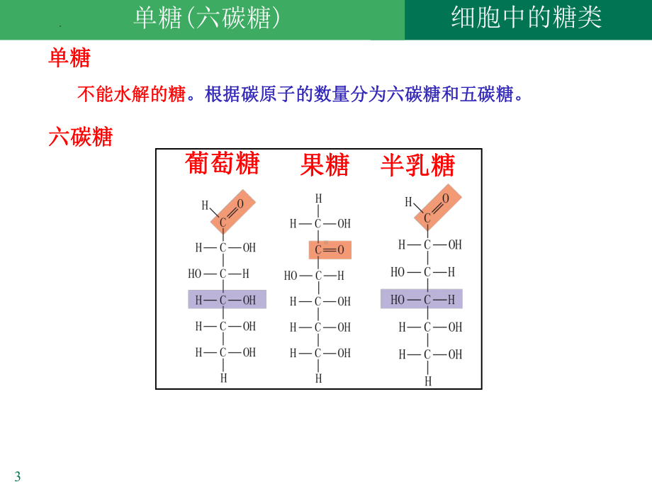 2.3 细胞中的糖和脂ppt课件-2023新人教版（2019）《高中生物》必修第一册.pptx_第3页