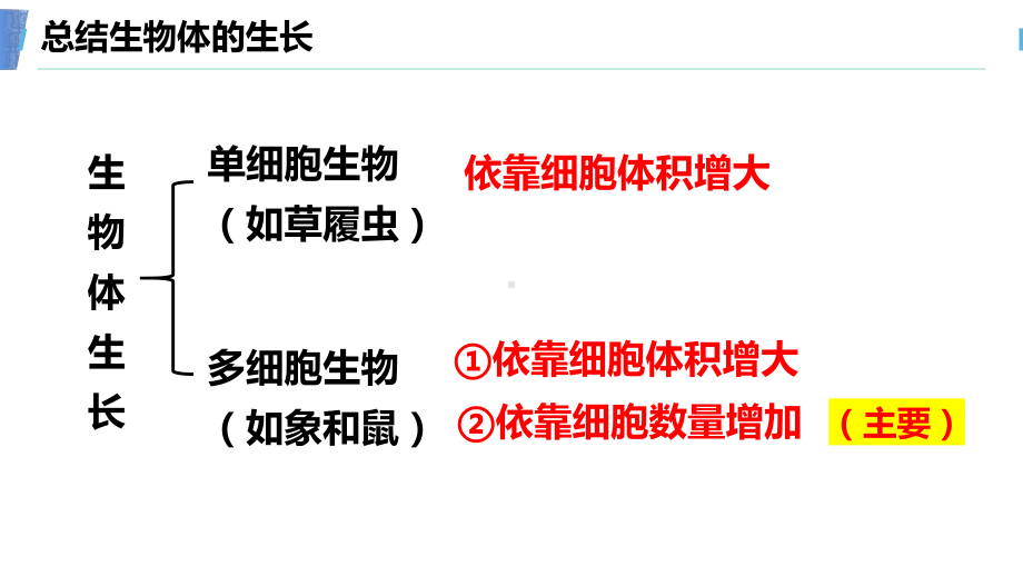 6.1细胞的增殖 ppt课件 -2023新人教版（2019）《高中生物》必修第一册.pptx_第3页