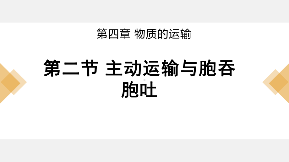 4.2主动运输与胞吞、胞吐ppt课件-2023新人教版（2019）《高中生物》必修第一册.pptx_第1页