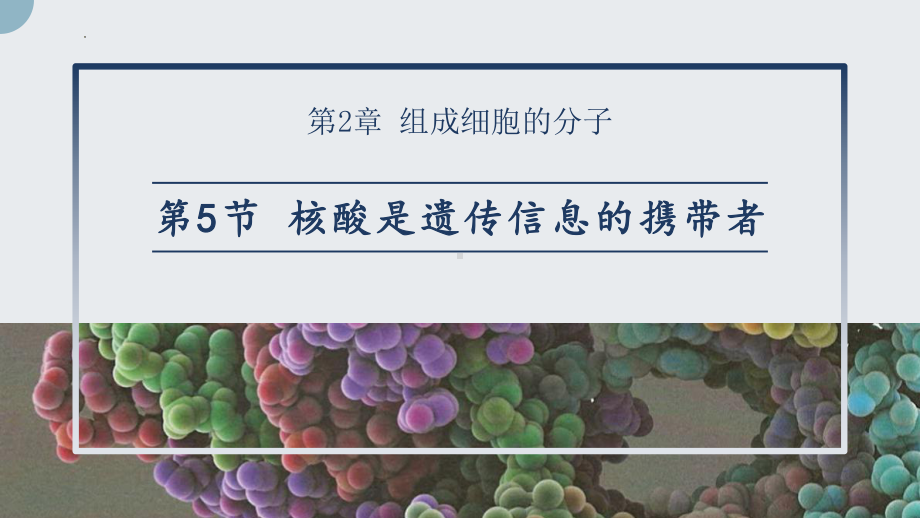 2.5 核酸是遗传信息的携带者ppt课件-2023新人教版（2019）《高中生物》必修第一册.pptx_第1页