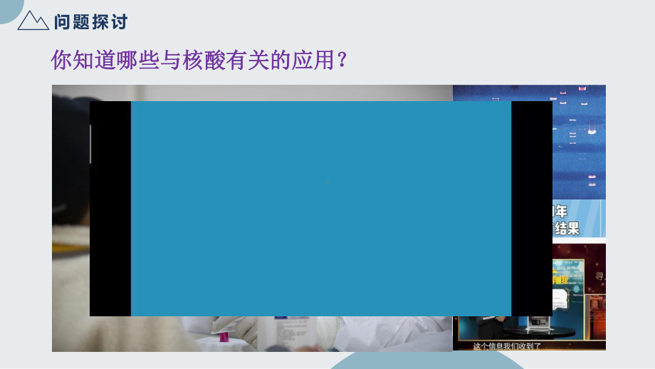 2.5 核酸是遗传信息的携带者ppt课件-2023新人教版（2019）《高中生物》必修第一册.pptx_第2页