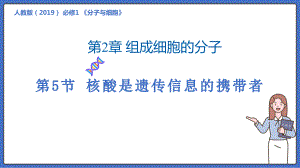 2.5核酸是遗传信息的携带者ppt课件(10)-2023新人教版（2019）《高中生物》必修第一册.pptx