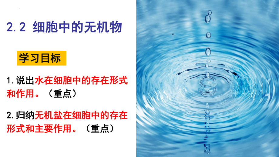 2.2细胞中的无机物ppt课件 (2)-2023新人教版（2019）《高中生物》必修第一册.pptx_第1页