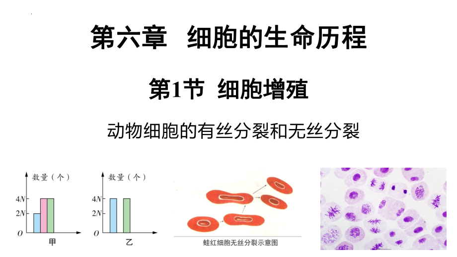 6.1.2细胞的增殖ppt课件-2023新人教版（2019）《高中生物》必修第一册.pptx_第1页