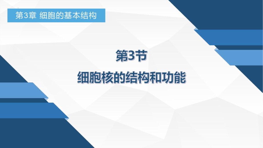 3.3 细胞核的结构和功能ppt课件-2023新人教版（2019）《高中生物》必修第一册.pptx_第1页