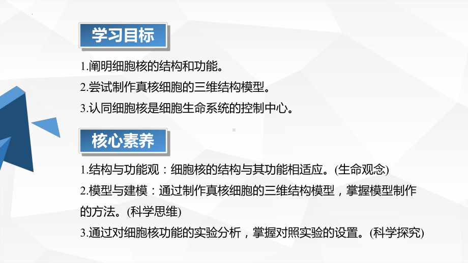 3.3 细胞核的结构和功能ppt课件-2023新人教版（2019）《高中生物》必修第一册.pptx_第2页