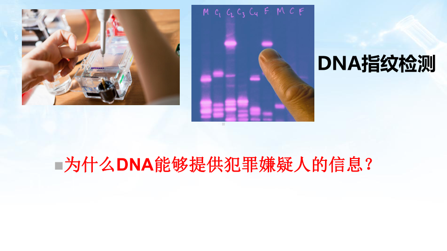 2.5核酸是遗传信息的携带者ppt课件-2023新人教版（2019）《高中生物》必修第一册.pptx_第1页