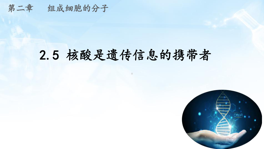 2.5核酸是遗传信息的携带者ppt课件-2023新人教版（2019）《高中生物》必修第一册.pptx_第2页