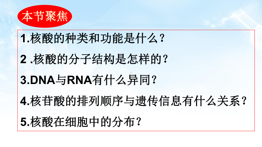 2.5核酸是遗传信息的携带者ppt课件-2023新人教版（2019）《高中生物》必修第一册.pptx_第3页