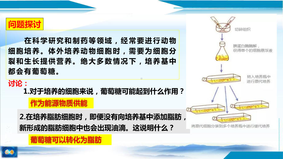 2.3细胞中的糖类和脂质ppt课件(2)-2023新人教版（2019）《高中生物》必修第一册.pptx_第3页