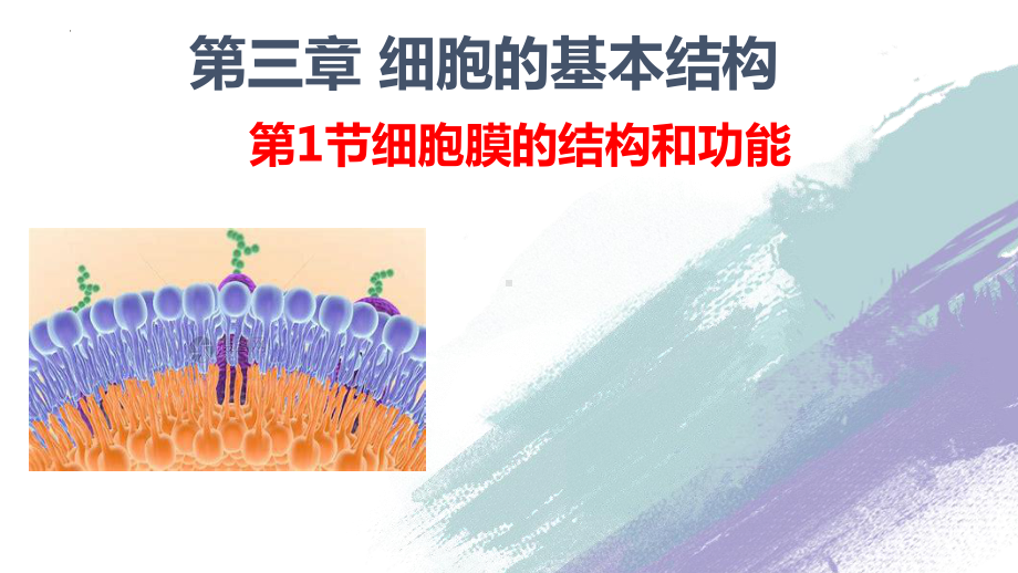 3.1 细胞膜的结构和功能 ppt课件-2023新人教版（2019）《高中生物》必修第一册.pptx_第1页