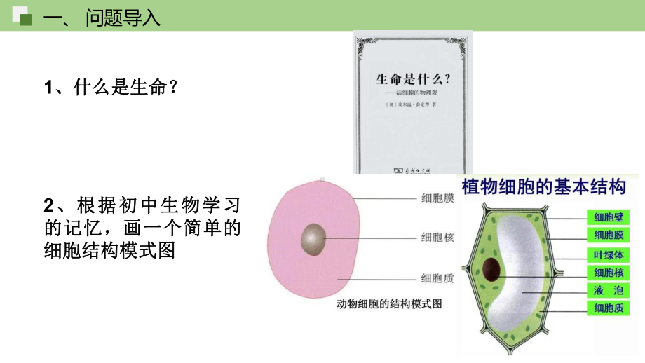 1.1 细胞是生命活动的基本单位 ppt课件 -2023新人教版（2019）《高中生物》必修第一册.pptx_第2页