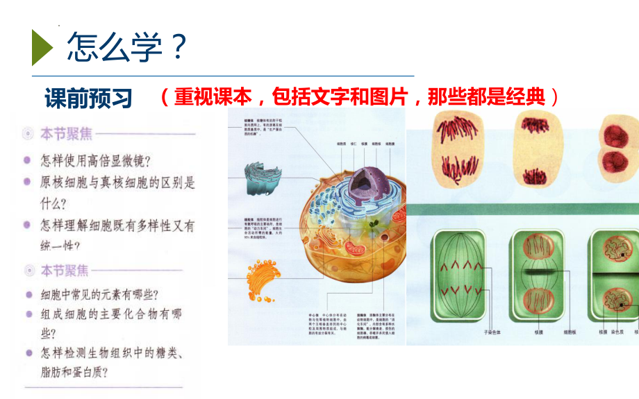 1.1细胞是生命活动的基本单位ppt课件-2023新人教版（2019）《高中生物》必修第一册.pptx_第3页