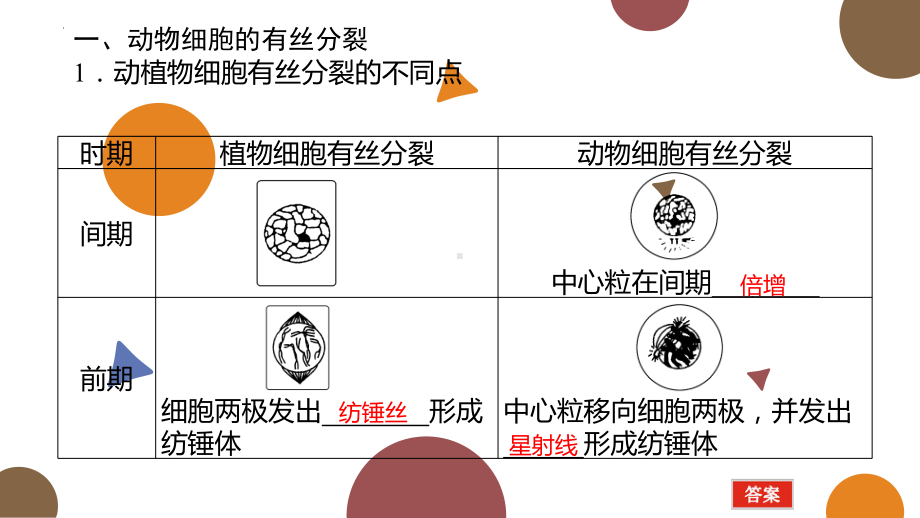 6.1.2细胞的增殖ppt课件-2023新人教版（2019）《高中生物》必修第一册.pptx_第2页