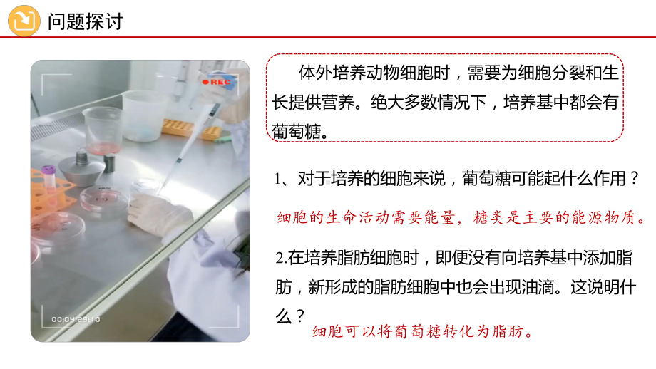 2.3 细胞中的糖类和脂质 ppt课件 (3)-2023新人教版（2019）《高中生物》必修第一册.pptx_第2页