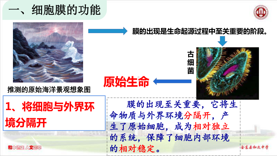 3.1细胞膜的结构与功能ppt课件-2023新人教版（2019）《高中生物》必修第一册.pptx_第3页