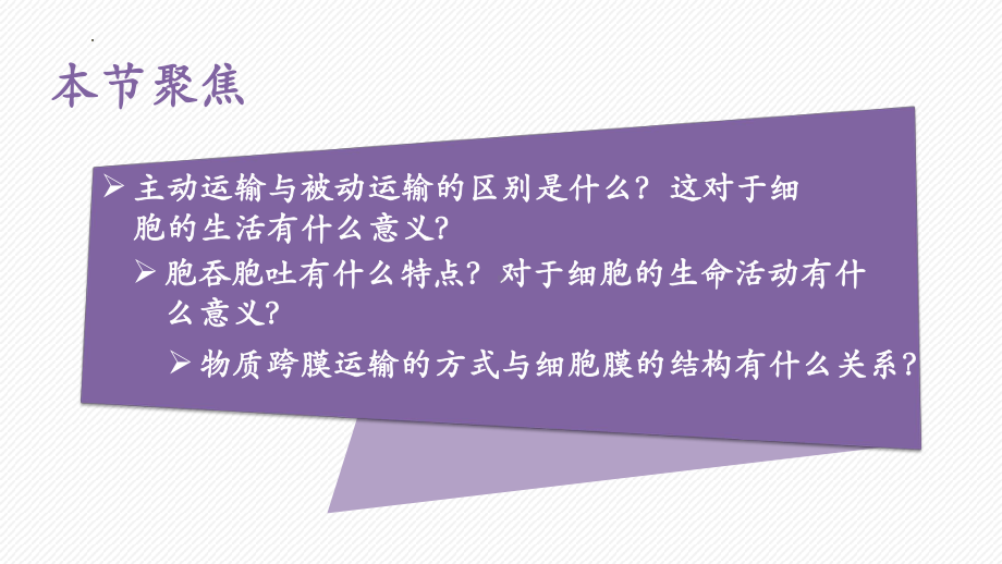 4.2主动运输与胞吞、胞吐ppt课件-2023新人教版（2019）《高中生物》必修第一册.pptx_第2页