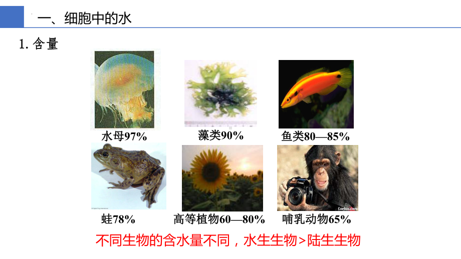 2.2细胞中的无机物ppt课件(4)-2023新人教版（2019）《高中生物》必修第一册.pptx_第2页