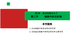 2.2细胞中的无机物ppt课件(4)-2023新人教版（2019）《高中生物》必修第一册.pptx