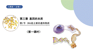 3.1DNA是主要的遗传物质ppt课件-2023新人教版（2019）《高中生物》必修第一册.pptx