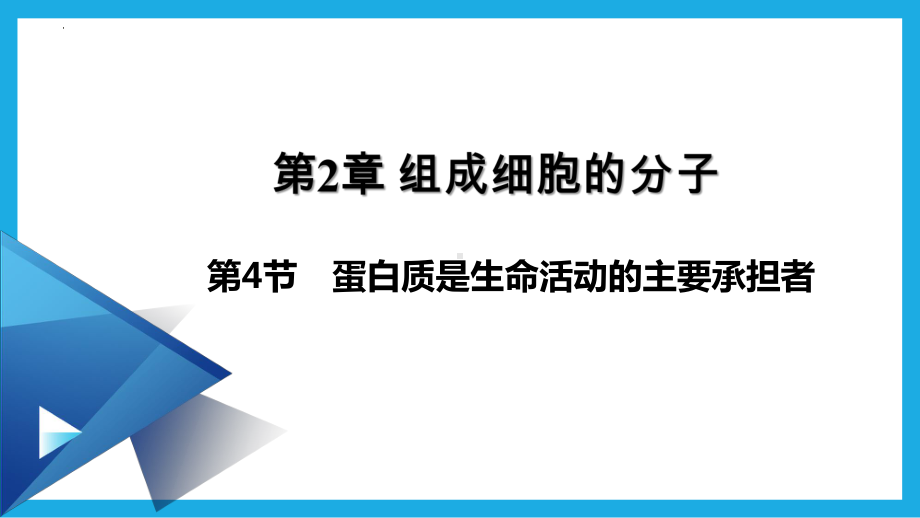 2.4蛋白质是生命活动的主要承担者ppt课件(2)-2023新人教版（2019）《高中生物》必修第一册.pptx_第2页