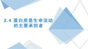 2.4蛋白质是生命活动的主要承担者 ppt课件-2023新人教版（2019）《高中生物》必修第一册.pptx