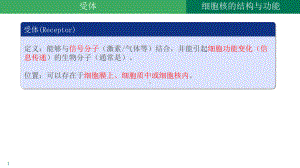 3.3 细胞核的结构与功能ppt课件-2023新人教版（2019）《高中生物》必修第一册.pptx