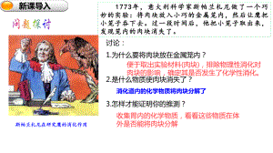 5.1降低化学反应活化能的酶ppt课件-2023新人教版（2019）《高中生物》必修第一册.pptx